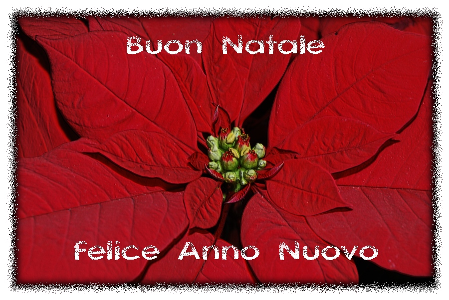 Per tutti voi...