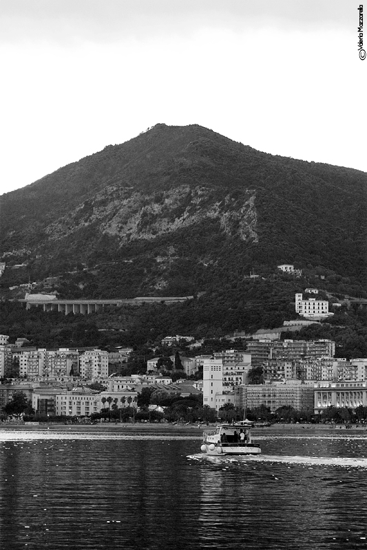 Salerno #1