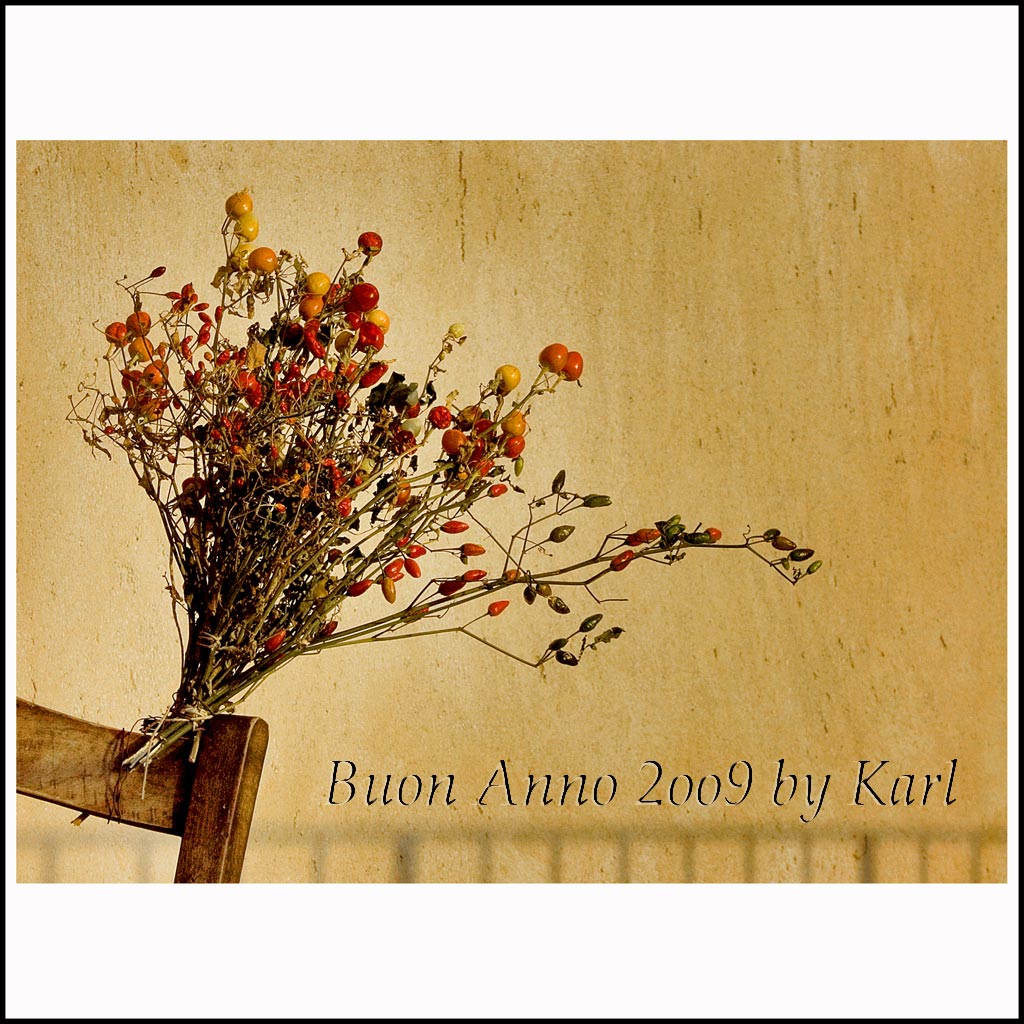 Buon Anno 2oo9 by Karl