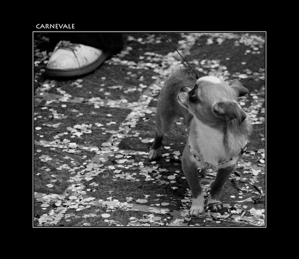 Carnevale (?)