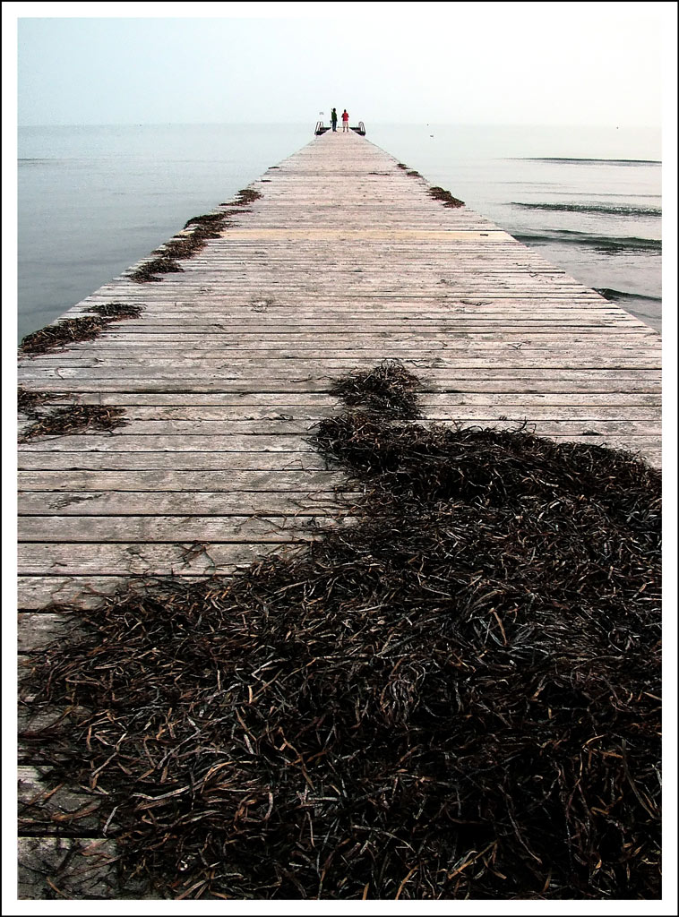 lungo il pontile