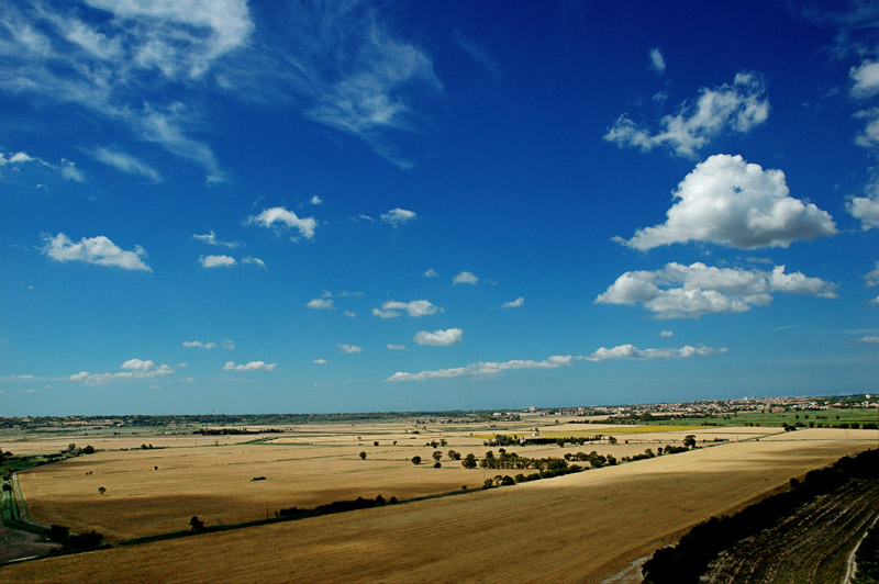 Camargue 310