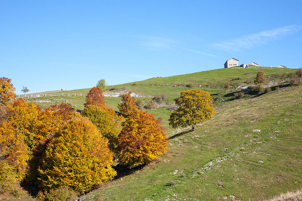 autunno in Lessinia