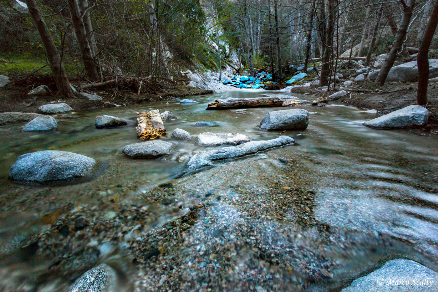 2 Branches in the river