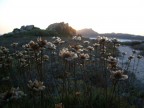 tramonto in sardegna. santa teresa gallura.

suggerimenti e critiche sempre ben accetti :)