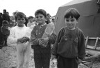 Campo profughi Kossovari di Rrushbull gestito dalle Misericordie d'Italia.
Distribuzione dell'acqua potabile.