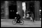 prove di panning