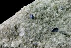 Due Anatasi color blu-zaffiro di 1 mm, a destra, e al di sotto di 1 mm con doppia terminazione.
