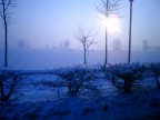 FOTO SCATTATA DALLA MACCHINA MENTRE ANDAVO AL LAVORO DOPO UNA NEVICATA DI QUALCHE ANNO FA...I CAMPI DELLA PIANURA PADANA...