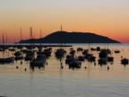 Barche di lerici