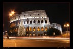 Nella sua semplicit, il colosseo in questa veste natalizia  ancora pi emozionante...