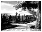 cimitero2