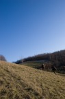 dicembre 2006 - appennini parmensi loc. Gravagna (PR)

Due cacciatori durante una battuta al capriolo attraversano i prati