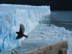 Scattata dalla passerella per l'osservazione del ghiacciaio Perito Moreno, nel parco nazionale Argentino Los Glaciares