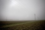 nebbia - campagna ecc