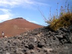 ETNA