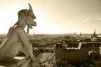 Uno dei gargoyle di Notre-Dame a Parigi. Ho fatto un sacco di foto a queste statue, questa era in contro luce e pensavo fosse da buttare, ma passando al B/N  diventata la migliore del gruppo. Voi cosa ne pensate, critiche , suggerimenti?