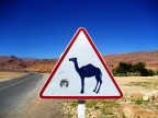 In giro per il Marocco...

Commenti ed altro sono graditi