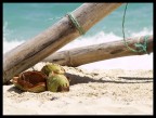 Reportage sulla Repubblica Dominicana: mare, spiaggia e qualche scena di vita dominicana...