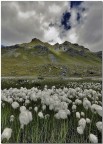 Lago di Gabiet - Valle D'Aosta 
Nikon D50 + Sigma 10-20 
Focale: 11 mm 
Tempo: 1/100 
Diaframma: F 22 
Iso: 400