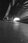 Questa foto  stata scattata alle 7 di mattina nella stazione di Milano, insolitamente calma... mi piaceva molto l'effetto "radice" che i contrafforti della struttura hanno avuto sul pavimento, deformandolo e alzandolo in alcuni punti
commenti e critiche non solo ben accetti, ma VOLUTI! :D