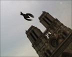 ecco come vede Notre Dame un passerotto durante le sue fughe repentine tra i turisti ! Purtroppo la giornata cupa nn mi ha aiutato :( 
ciao
andrea