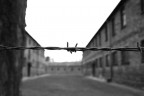 Sono stato ad Auschwitz nel 2006. Questa  una delle foto che ho riportato a casa. E' per molto difficile esprimere ci che si riporta a casa dentro di noi dopo aver visitato quei luoghi.
Commenti e critiche sempre bene accetti.
