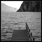 Una giornata sul lago di Garda.. qui da un molo di Riva.. L'uccello l'ho aspettato per qualche minuto...... ;)