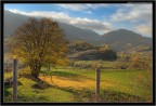 Provincia dell'Aquila, scorcio controluce con colori autunnali, per ovviare alle differenze di luce dei piani ho fatto un bracketing di 3 fotogrammi a due stop con conseguente HDR.

D80 + 18-135 @ 24mm :: 1/100 - 1/400 - 1/25 :: ISO 100 :: f/11 :: Manfrotto 055XPROB + 322RC2