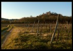 Quasi sera... un piccolo paesino in mezzo al altopiano carsico che, da sopra la collina guarda la piccola valle lavorata dai contadini del posto.
Ditemi cosa vi piace e cosa no... per favore.