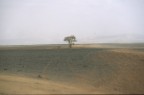 Verso il Mourzuq - Deserto libico