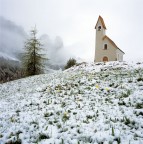 Lotta tra fiori e gelo (Hassy + CF Distagon 50 FLE - Fuji Provia)