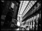 Galleria Vittorio Emanuele, Milano.

Vecchissima, di pi di un anno fa... taglio piuttosto "audace", devo ammetterlo :P