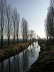 una passeggiata nella mia terra, magari triste ma sempre affascinante.In questo canale pescavo quando ero ragazzino e domeinca, guardando l'acqua che scorreva vedevo passare i ricordi della mia giovent..forse solo io riesco vederli attraverso l'obiettivo