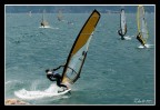 windsurf
D70 + 80-200 afs
maggio 2005