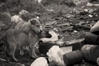 Un mini reportage su dei cuccioli abbandonati in una discarica.

Quentin.