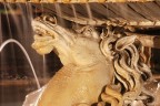 Particolare della fontana dei cavalli marini a Villa Borghese a Roma