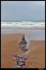 Ancora irlanda, ancora Dingle...in spiaggia con un vento che solleva tutta la sabbia ad ammirare l'oceano con il suo gioco di maree...

A voi la parola