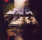 cimitero ebraio - ferrara