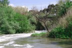 gli scarti di Roma, il Tevere li accoglie .
ma  meno sporco di quel che credevo .