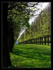 Perspective in Versailles 3