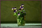 Violette raccolte dal mio giardino
Canon Eos 400D
1/100 sec
iso 400
f/5,6
50 mm

Sviluppo da file raw