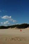 Gita pomeridiana sulla spiaggia di Sabaudia (LT).

Nikon D100 + Sigma Zoom 28-70.

Commenti e critiche sempre ben accette.