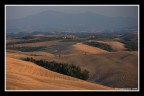 Val-d'Orcia_08-08-03_0123