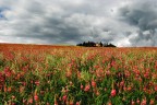 Foto delle colline del chianti senese