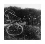 Rolleiflex Automat 1B
Fortepan 100
Bromofort BH-4

Boh, potrebbe intitolarsi "On the hill" per implicita e personale associazione con una scena del film Il t nel deserto. Non un granch, di per s, ma forte nei significati di fondo.