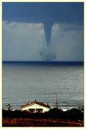 Santa Marinella (Rm), sabato scorso.
Saluti a tutti, 
Ste