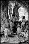 L'Albero dei Bambini