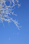 Gli ultimi fiocchi di neve in caduta
dai rami degli alberi
