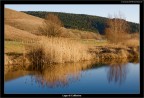 Foto scattata al Lago di Colfiorito con la Canon EOS 40D